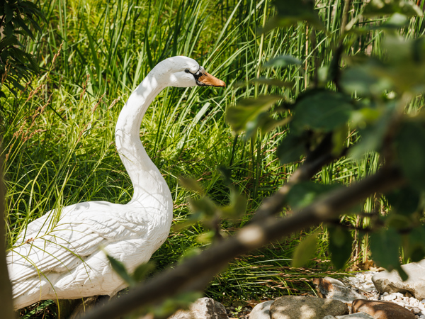 20 07 23 ZPMH Gebouwen En Tuinen Reeuwijk 21